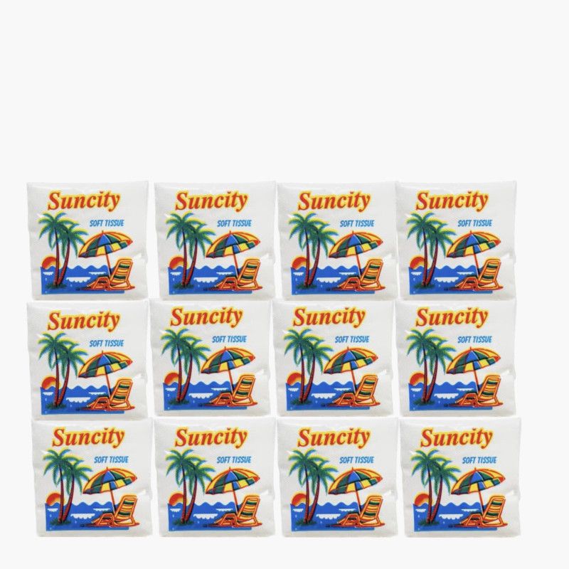 MG SUN CITY 100 W SOFT FACE TISSUES napkin 12 IN 1 ( 10 PACK 1200 pice )  (1200 Tissues)