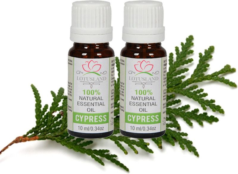 Himrishi Lotusland 100% Pure & Natural Cypress Essential Oil (Pack of 2, 10 ml)  (10 ml)