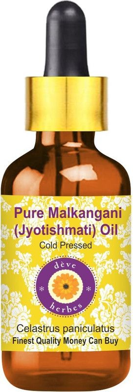 deve herbes Pure Malkangani (Malkangni / Jyotishmati) Oil (Celastrus paniculatus) with Glass Dropper 100% Natural Therapeutic Grade Cold Pressed  (30 ml)