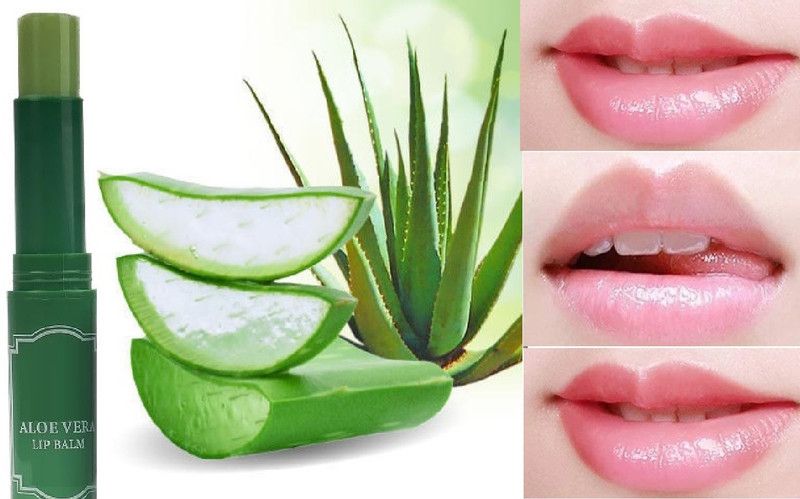 GABBU 100% Natural Soft Lip Balm for women/girls 12 Hour Moisturization ALOE VERA  (Pack of: 1, 3.8 g)