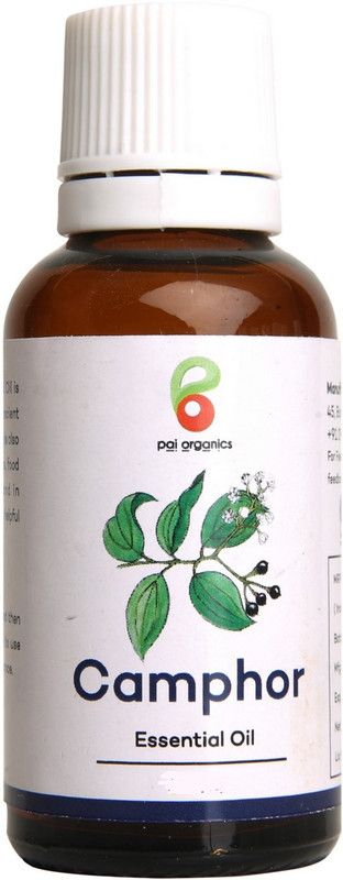 Pai Organics Camphor Essential Oil(15 ml) | Steam Distilled | For Aromatherapy, Massage  (15 ml)