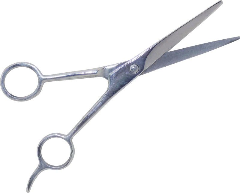 AASA Scissors for Moustache Trimming and Hair Cutting Perfect For Home and Salon Use Scissors (Set of 1, Silver) Scissors  (Set of 1, Silver)