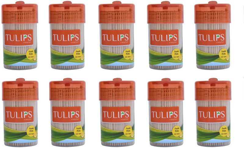 Tulips Wooden Toothpicks 250 Sticks (Pack of 10)  (6.5 cm, Pack of 2500)