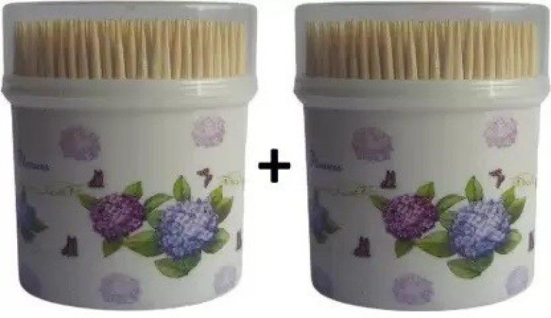 Divet Simple Wooden Toothpicks with Dispenser Box  (Pack of 2)