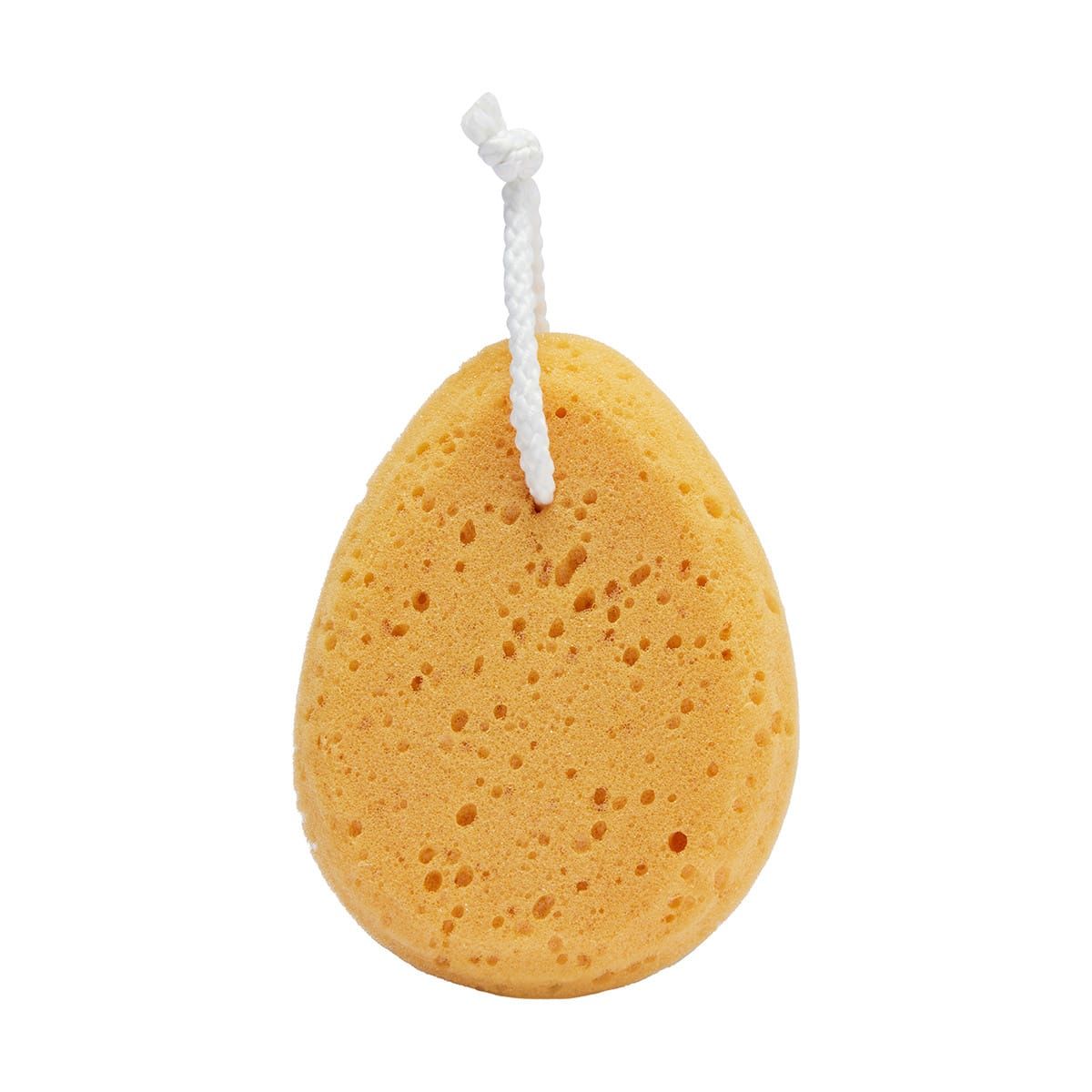 Bath Sponge