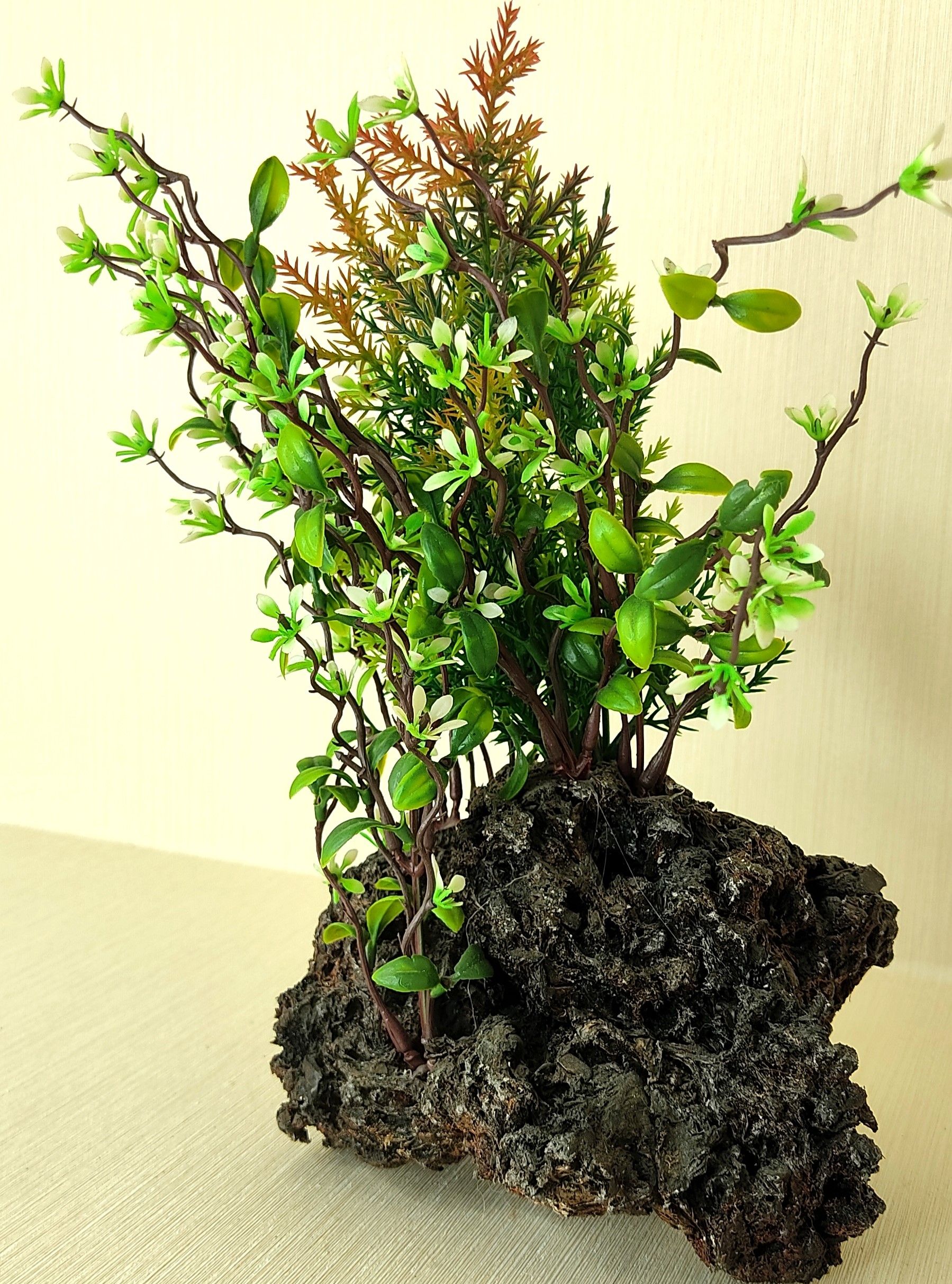 BONSIA FOR HOME DECORE