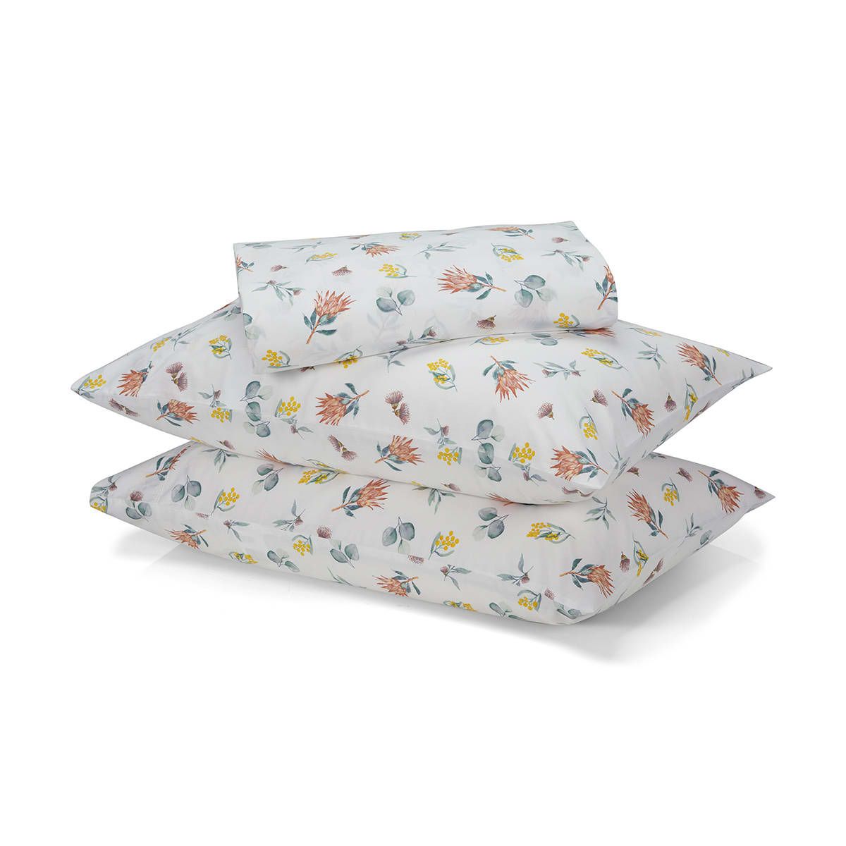 250 Thread Count Wattle Cotton Sheet Set - King Bed