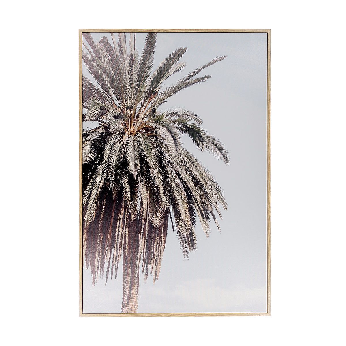 Palm Framed Canvas
