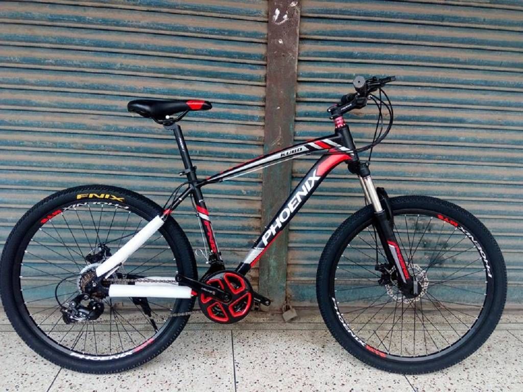 Phoenix Kubo Bicycle