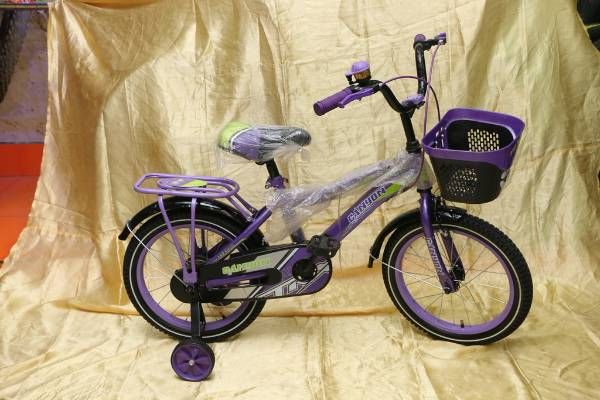 canyon cycle 16"