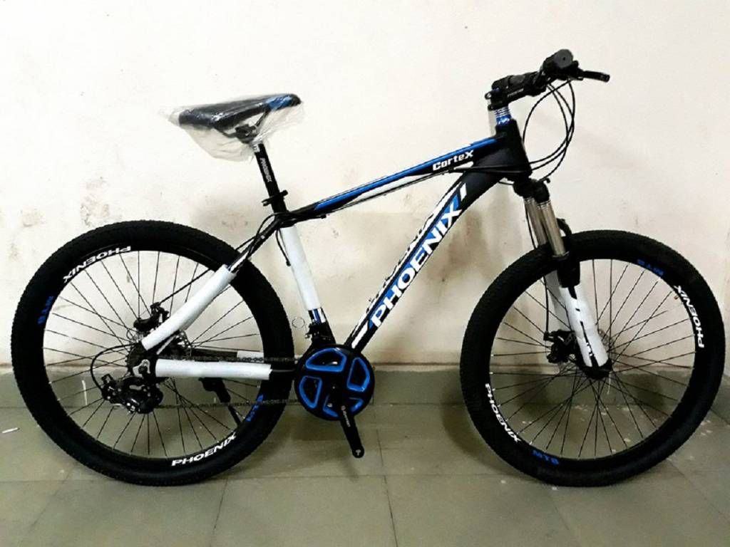 Phoenix Cortex Bicycle