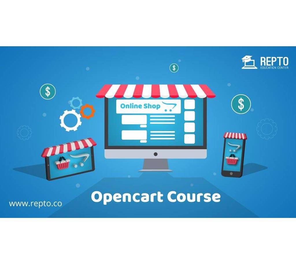Professional e-Commerce website with Ope DVD