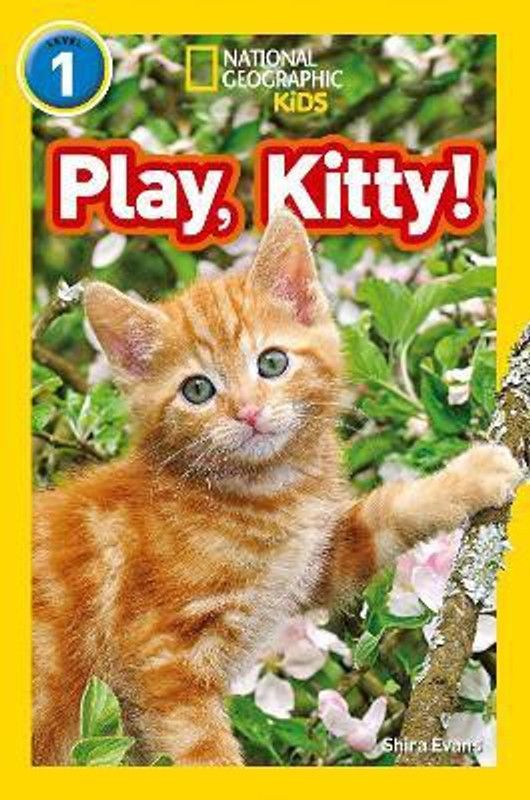 Play, Kitty!  (English, Paperback, Evans Shira)