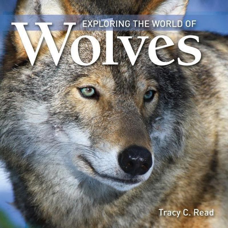 Exploring the World of Wolves  (English, Paperback, Read Tracy C.)
