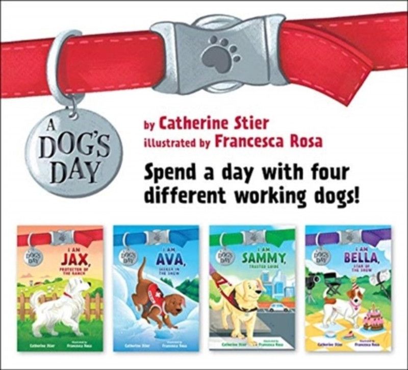 A Dog's Day Set #1-4  (English, Paperback, Stier Catherine)