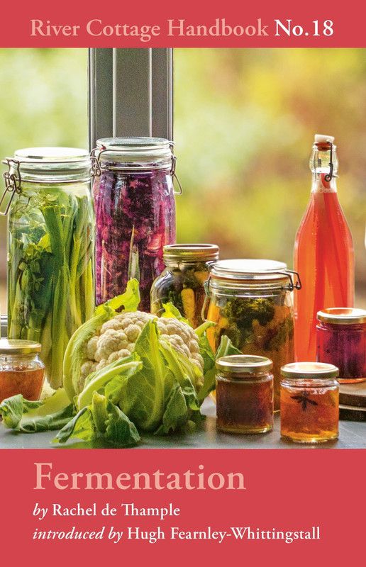 Fermentation  (English, Hardcover, Thample Rachel de)