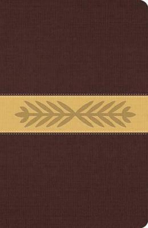 Message, The  (English, Leather / fine binding, Peterson Eugene H.)