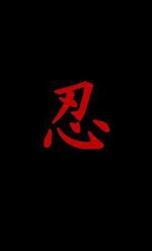 Black Ninja Handbook  (English, Hardcover, Dark Lords The)