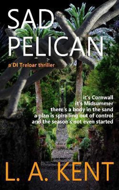 Sad Pelican  (English, Paperback, unknown)