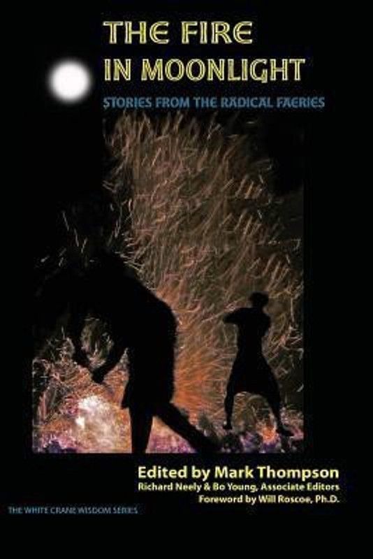 The Fire in Moonlight  (English, Paperback, unknown)