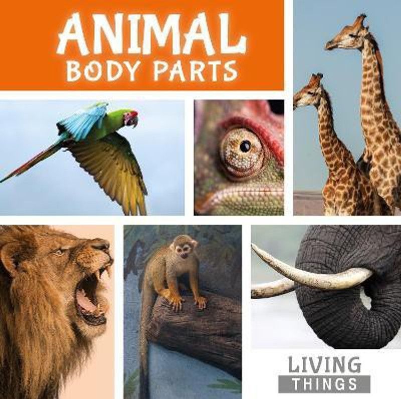 Animal Body Parts  (English, Hardcover, Cavell-Clarke Steffi)