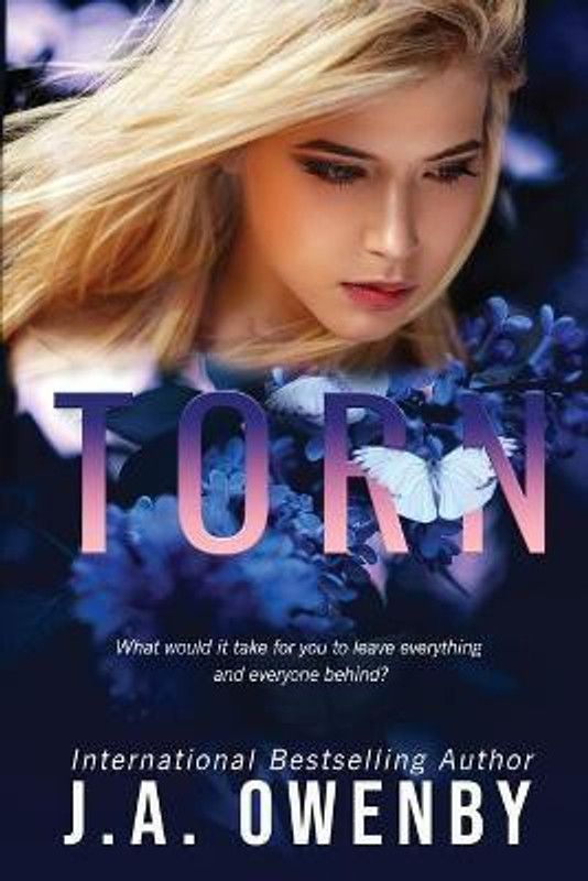 Torn  (English, Paperback, Owenby J a)