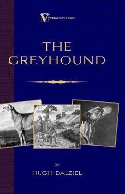 The Greyhound; Its History, Points, Breeding, Rearing, Training and Running (A Vintage Dog Books Breed Classic)  (English, Paperback, Dalziel Hugh)