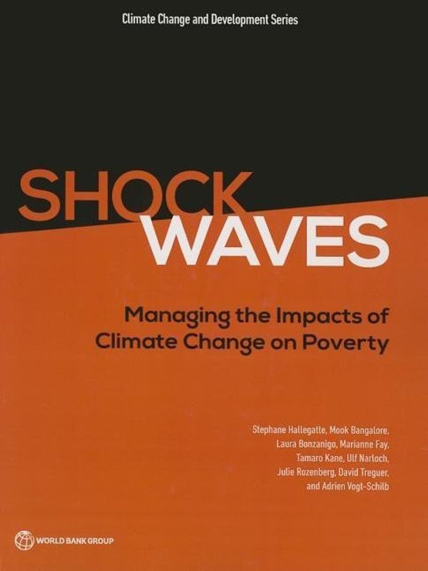 Shock waves  (English, Paperback, World Bank Stephane)