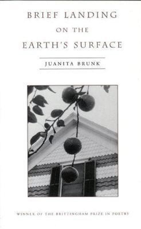Brief Landing on the Earth's Surface  (English, Paperback, unknown)