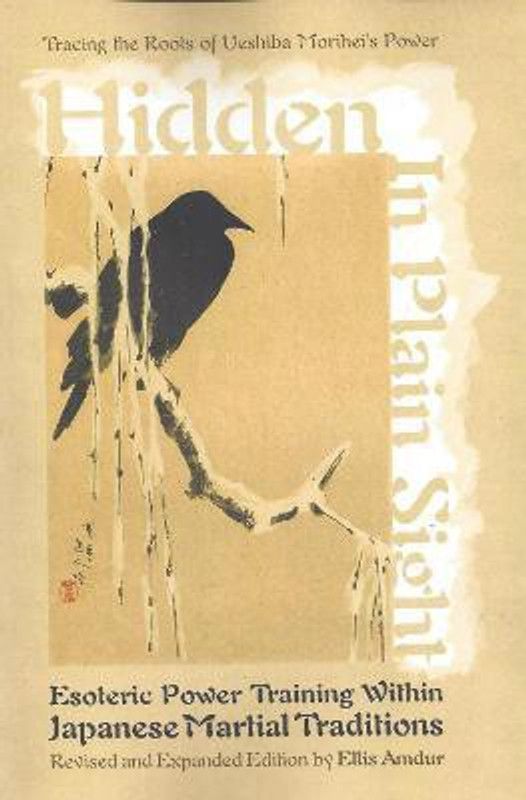 Hidden in Plain Sight  (English, Paperback, Amdur Ellis)