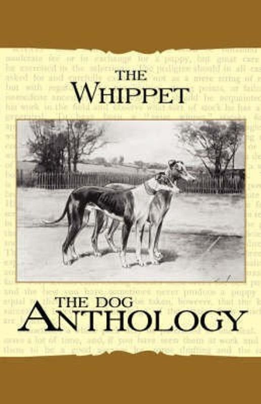The Whippet - A Dog Anthology (A Vintage Dog Books Breed Classic)  (English, Paperback, Various)