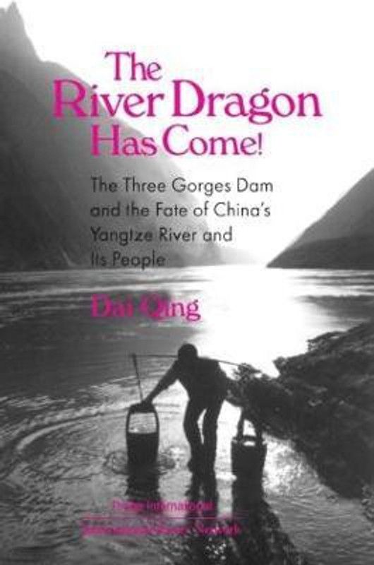 The River Dragon Has Come!  (English, Paperback, Qing Dai)
