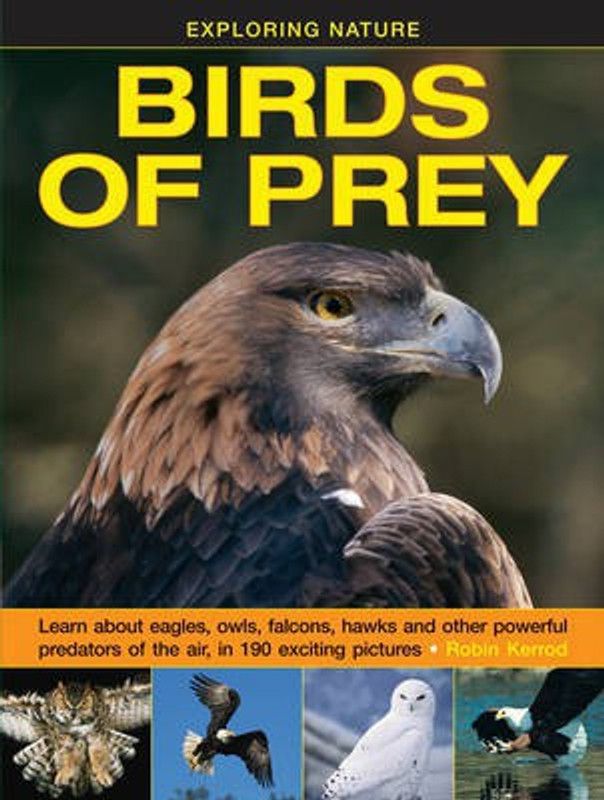 Exploring Nature: Birds of Prey  (English, Hardcover, Kerrod Robin)