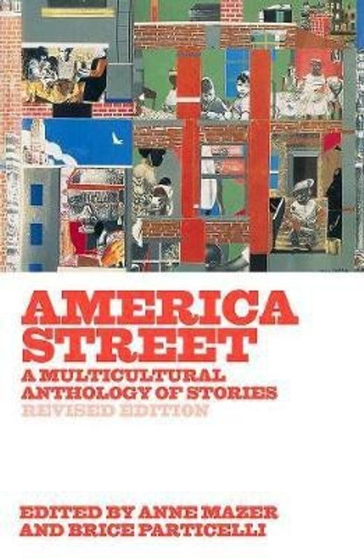 America Street  (English, Paperback, unknown)