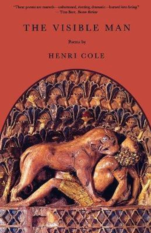 The Visible Man  (English, Paperback, Cole Henri)