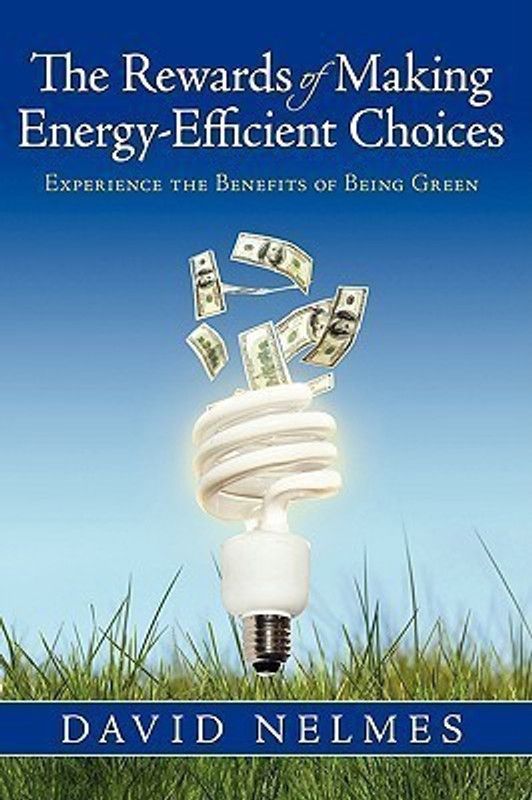 The Rewards of Making Energy-Efficient Choices  (English, Paperback, Nelmes David)