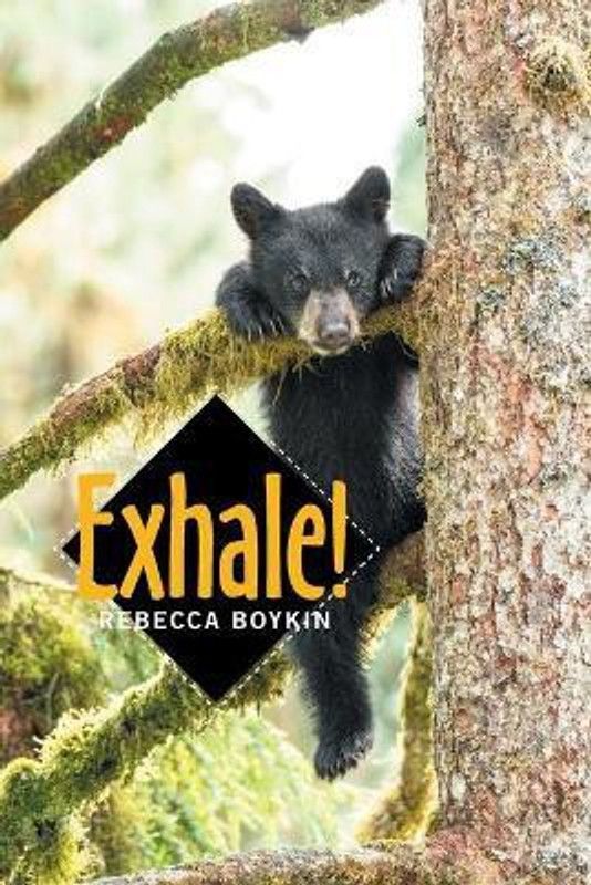 Exhale!  (English, Paperback, Boykin Rebecca)