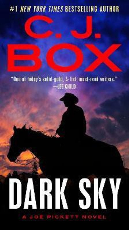 Dark Sky  (English, Paperback, Box C. J.)