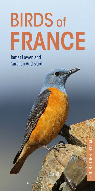 Birds of France  (English, Paperback, Lowen James)