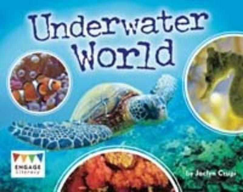 Underwater World  (English, Paperback, Crupi Jaclyn)