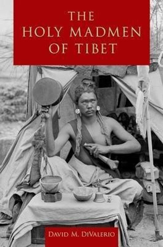 The Holy Madmen of Tibet  (English, Paperback, DiValerio David M.)