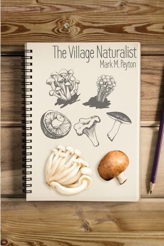The Village Naturalist  (English, Paperback, Peyton Mark M)