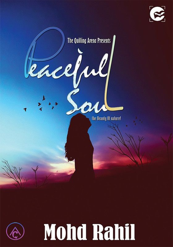 Peaceful Soul  (English, Paperback, Rahil Mohd)