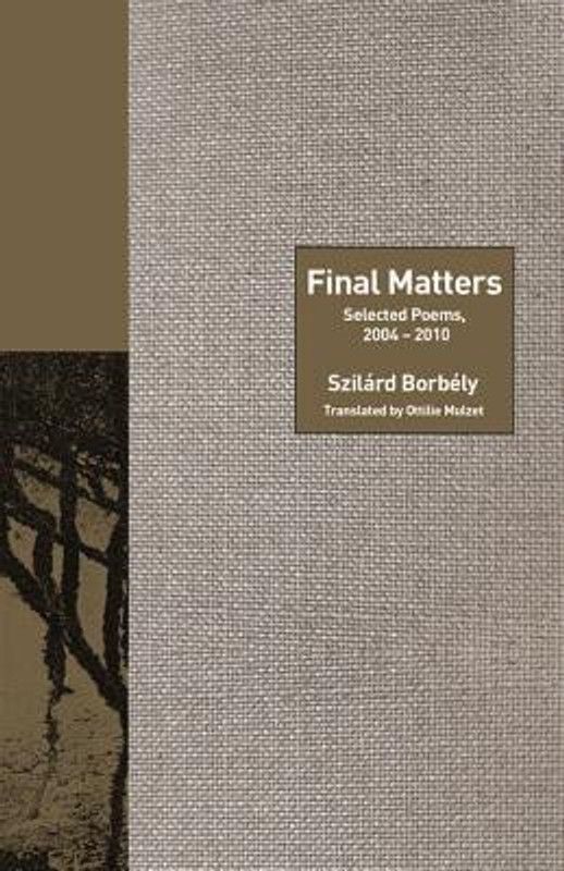 Final Matters  (English, Paperback, Borbely Szilard)