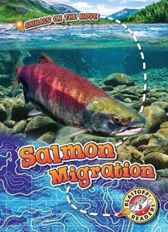Salmon Migration  (English, Hardcover, Schuetz Kari)