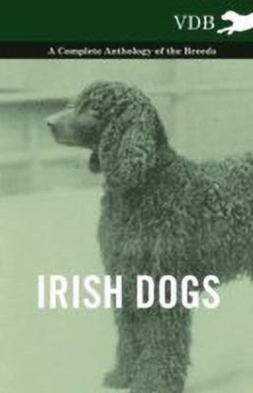Irish Dogs - A Complete Anthology of the Breeds  (English, Paperback, Various)
