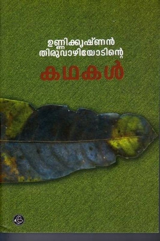 Bear who could not hibernate  (English, Paperback, Brandon Taylor)