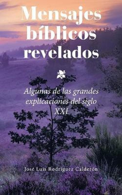 Mensajes Biblicos Revelados  (Spanish, Paperback, Calderon Jose Luis Rodriguez)