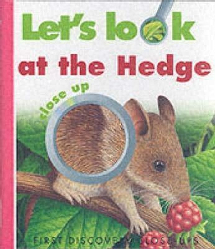 Let's Look at the Hedge  (English, Hardcover, Allaire Caroline)