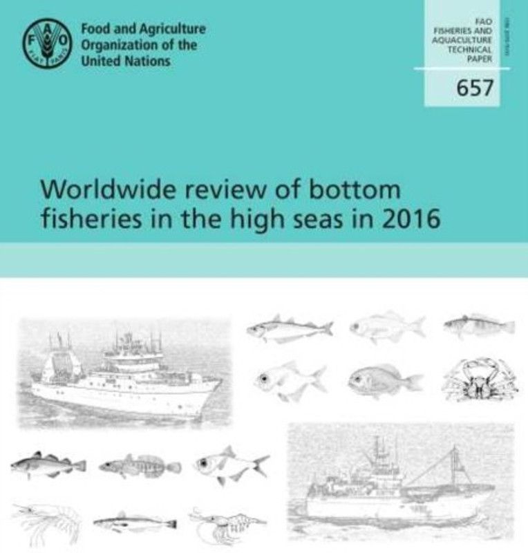 Worldwide review of bottom fisheries in the high seas in 2016  (English, Paperback, Food, Agriculture Organization)